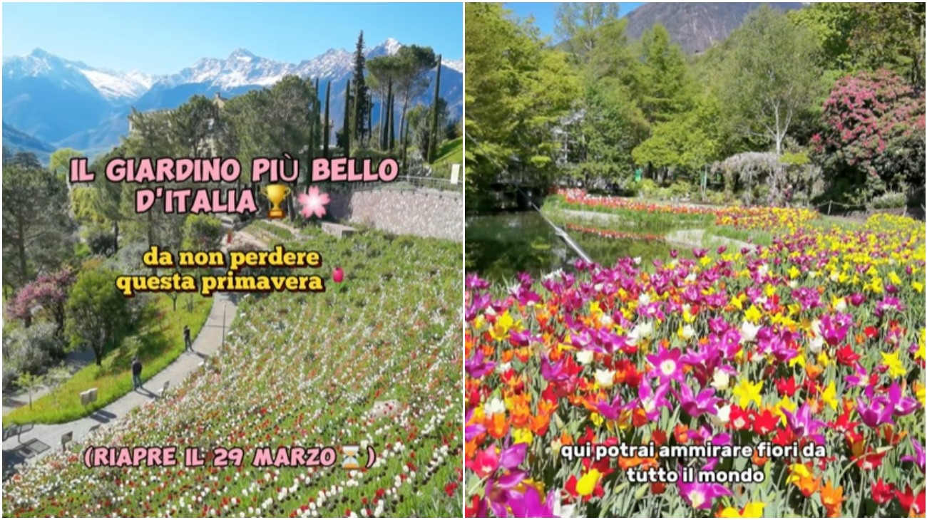 Il giardino più bello d'Italia riapre dal 29 marzo: la meraviglia in Trentino Alto-Adige tutta da visitare